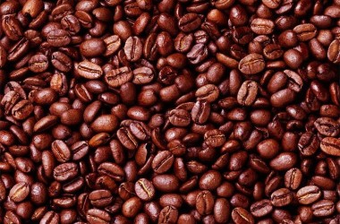 PHÂN BIỆT LOẠI CÀ PHÊ : ARABICA VÀ ROBUSTA (CƠ BẢN)